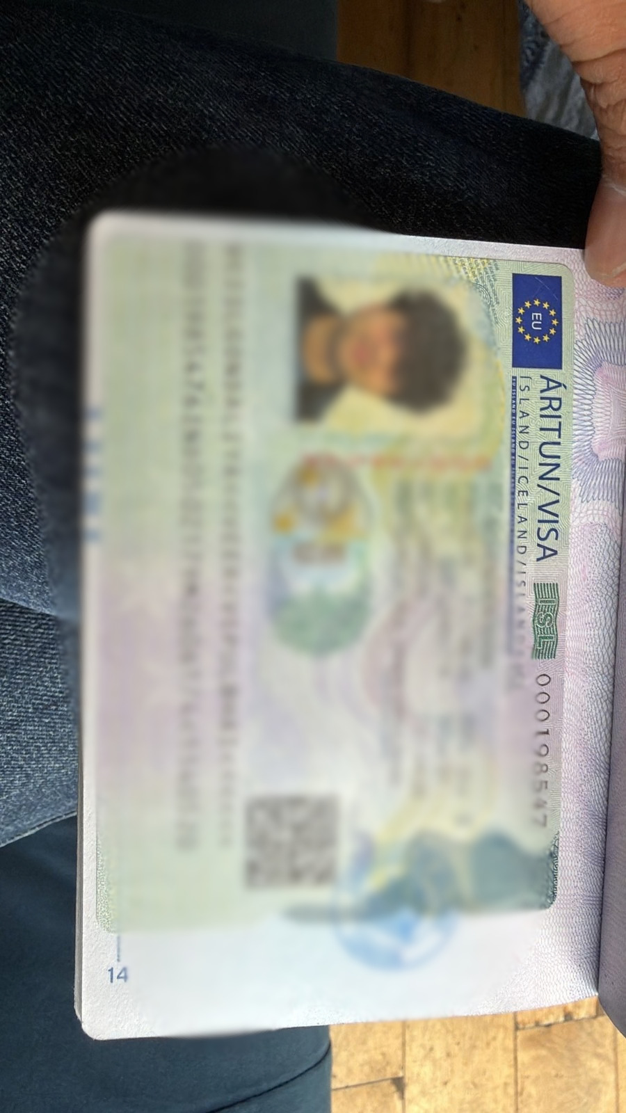 Recent visa approval 3